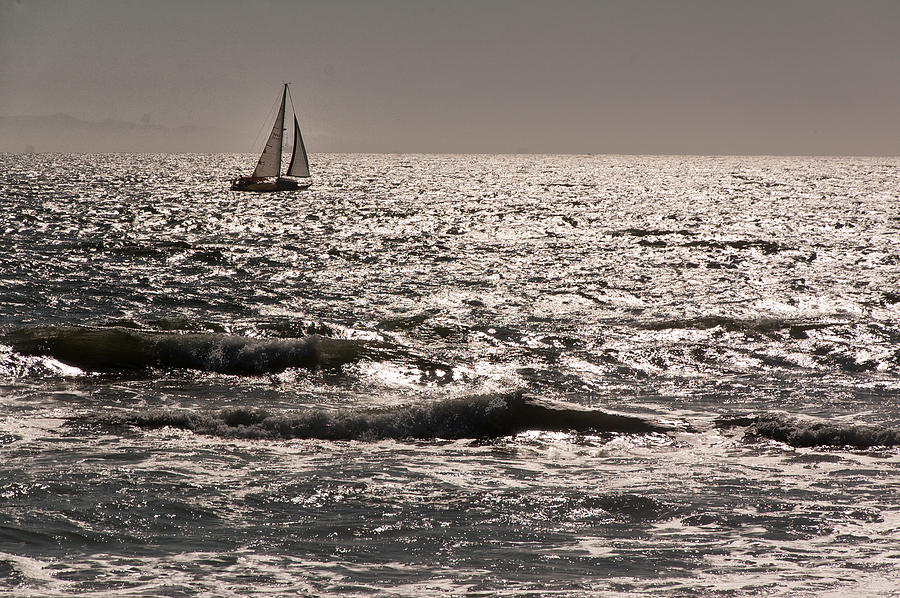 Lone Sail Boat Photograph