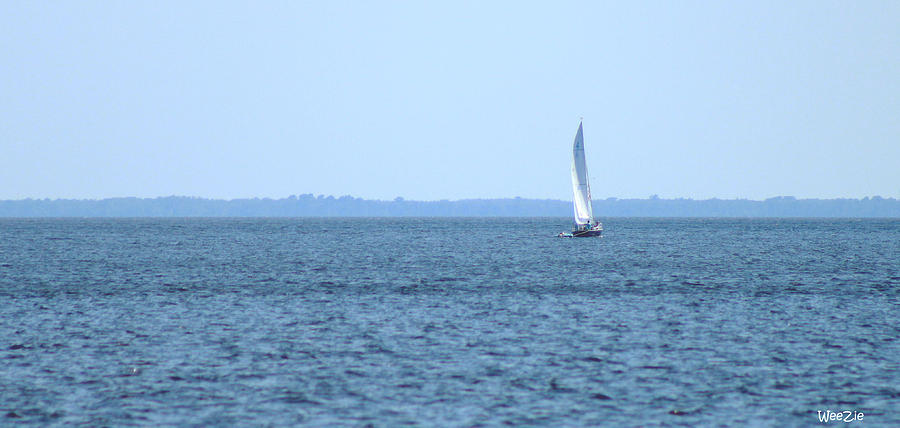 Lone Sailboat Photograph