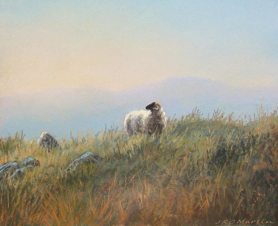 Sheep Painting - Lone sheep II by James Martin