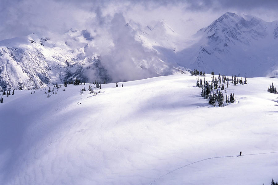 Glacier National Park Photograph - Lone Skier Deep In The Backcountry by Heath Korvola