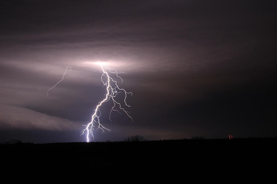 Lone Strike Photograph by David Pauley - Fine Art America