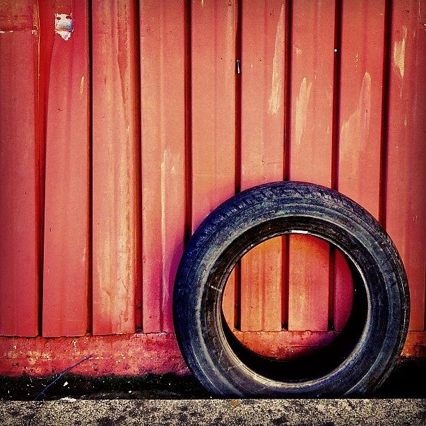 Sanfrancisco Photograph - Lone Tire by Julie Gebhardt