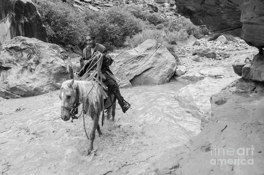 Lone Traveller Photograph by Nicholas Pappagallo Jr | Fine Art America