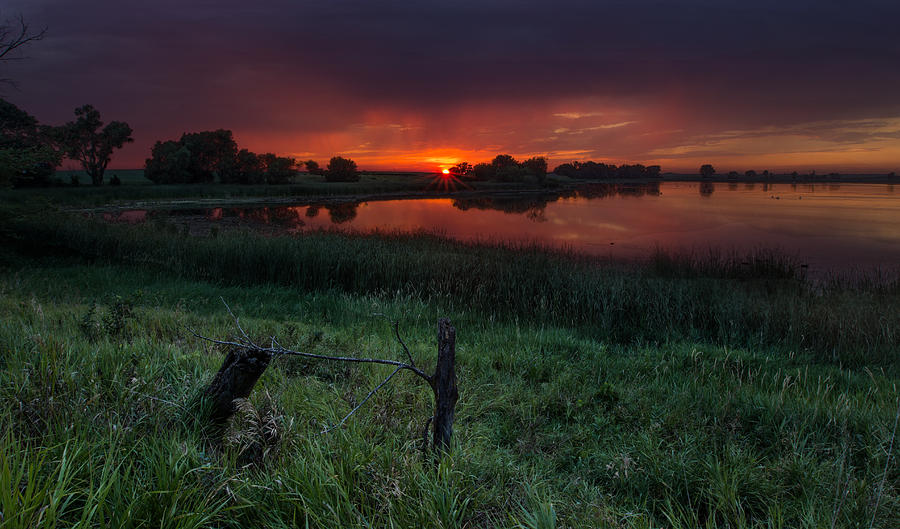 Sunset Photograph - Lone Tree Lake by Aaron J Groen