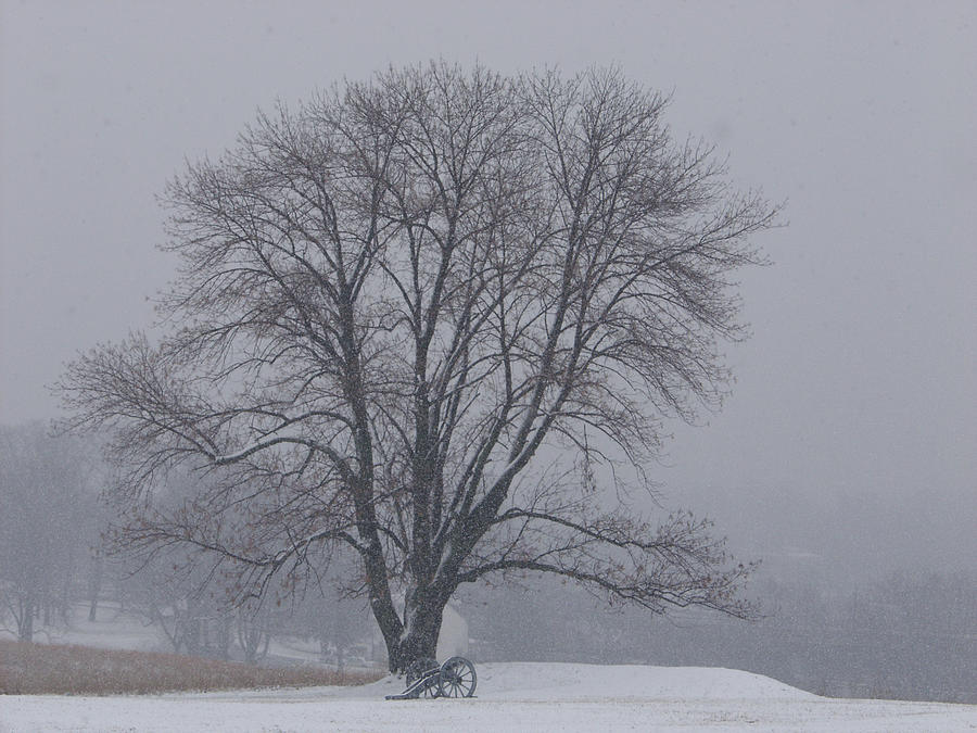 Winter in Valley Forge Photograph by Louis Dallara