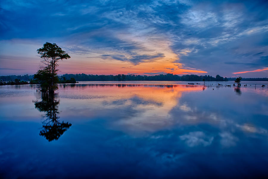 Lone Tree Sunrise - North Carolina Coast Photograph by Dan Carmichael