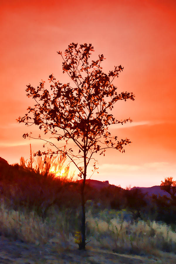 Lone Tree Sunset Photograph by Allan Van Gasbeck