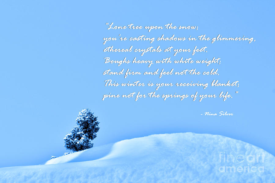 Lone Tree Upon the Snow with poem Photograph by Nina Silver