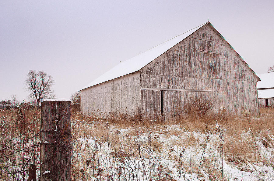 Lone Weathered Barn in Winter Photograph by Amy Lucid