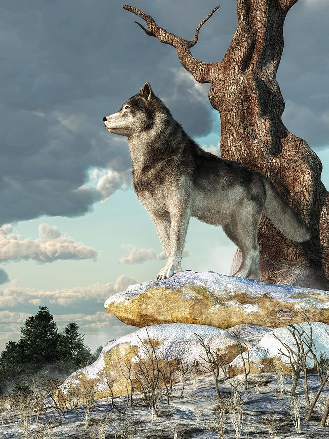 Lone Wolf Digital Art by Daniel Eskridge