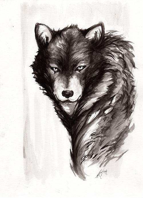 Wolves Drawing - Lone Wolf by Miguel Karlo Dominado