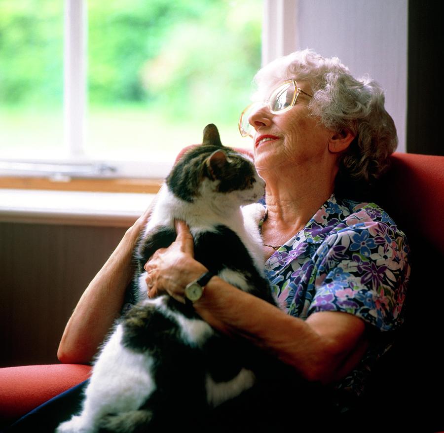 Loneliness: Elderly Woman Getting Comfort From Cat Photograph by Sheila Terry/science Photo Library