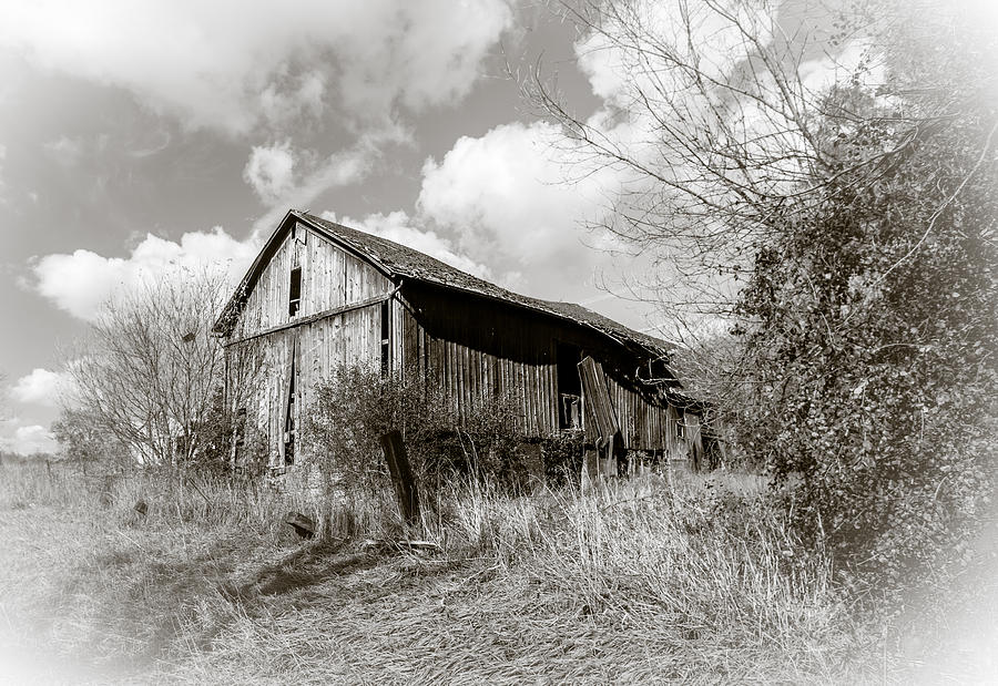 Lonely Barn Photograph by Karen Varnas