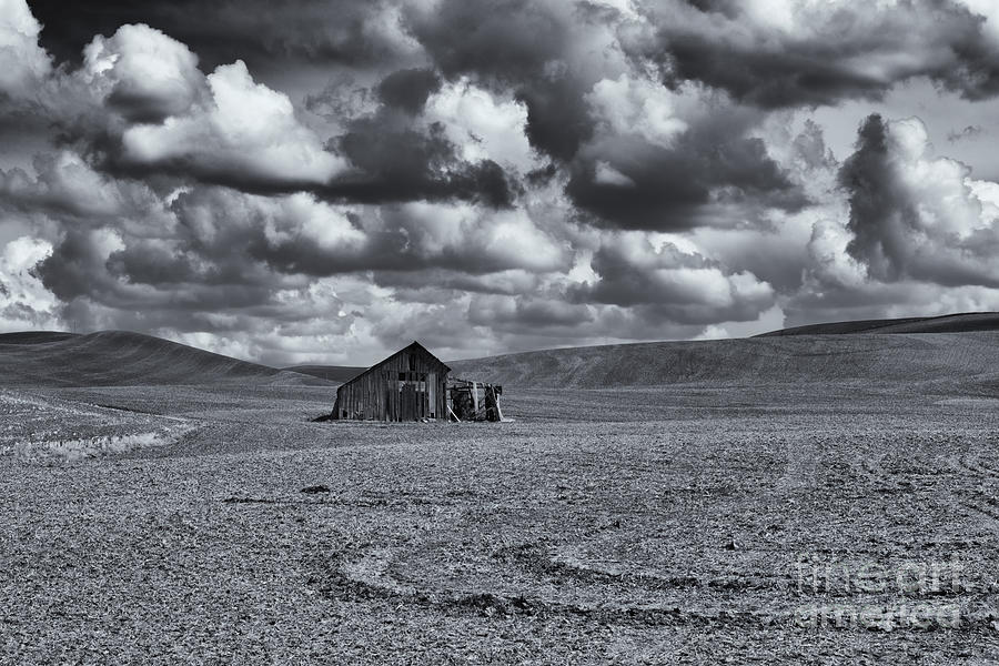 Lonely Barn on the Prairie Photograph by Michael Dawson