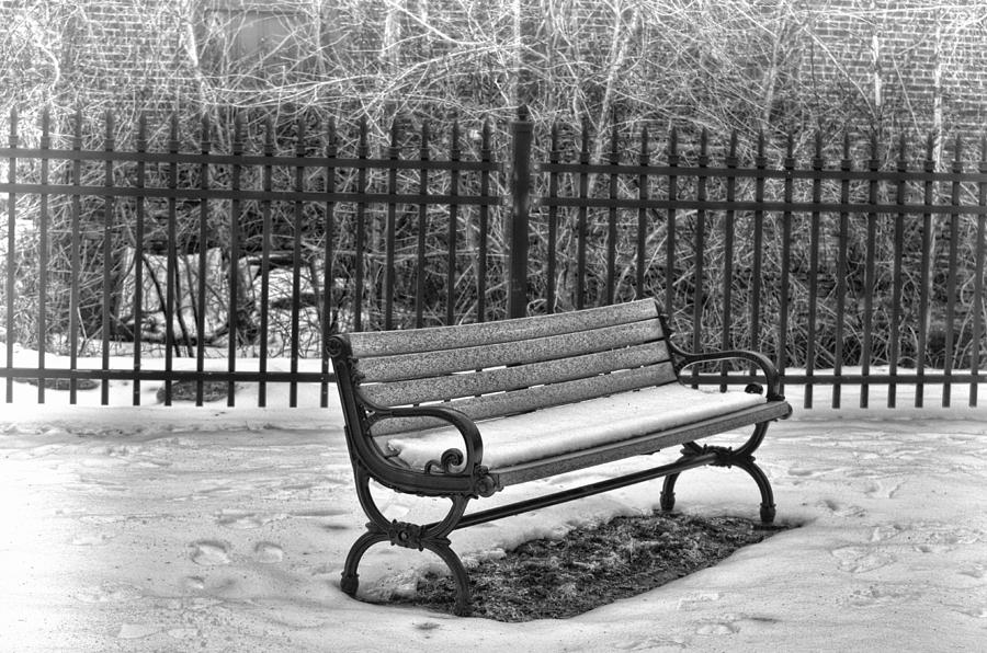 Lonely Bench in Winter Photograph by Beth Venner
