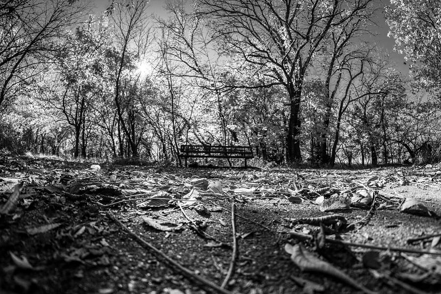 Lonely Bench Photograph by Jay Stockhaus
