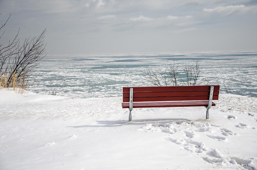 Lonely Bench Photograph by Susan McMenamin
