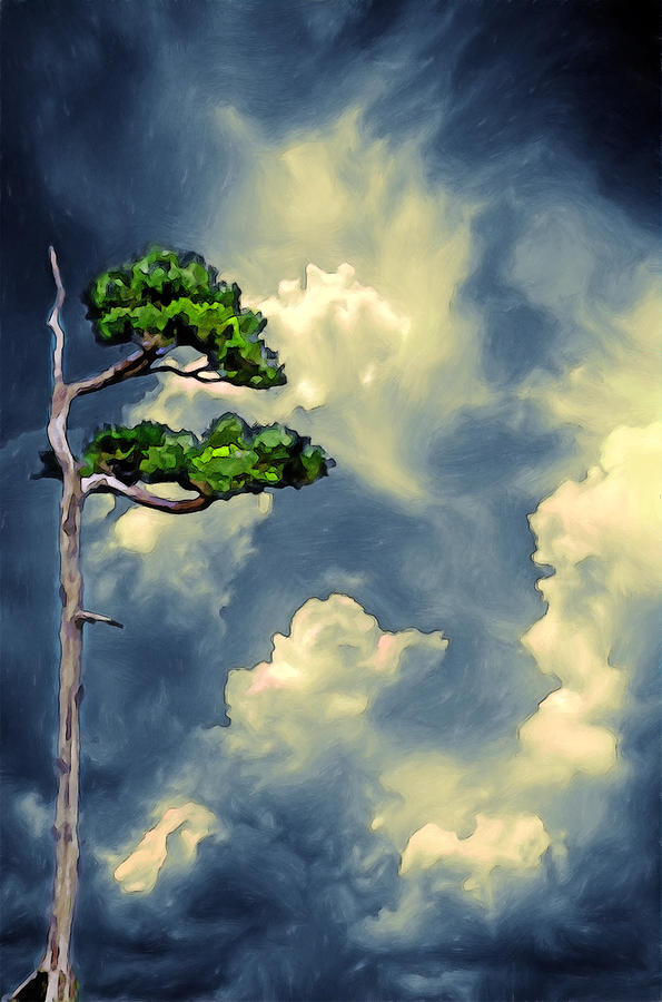 Tree Mixed Media - Lonely Bonsai by John Haldane