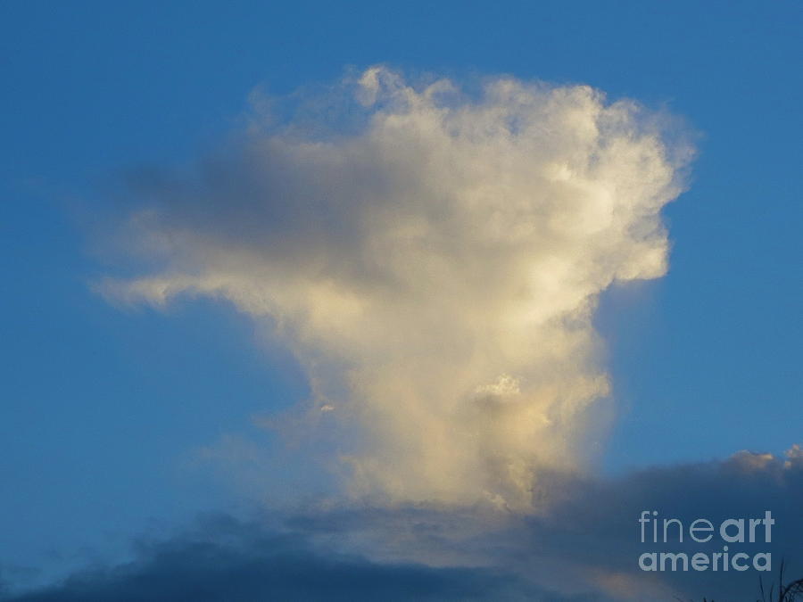 Lonely Cloud. Photograph by Robert Birkenes