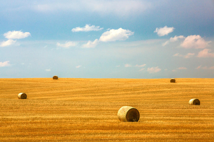 Lonely Fields Photograph by Todd Klassy