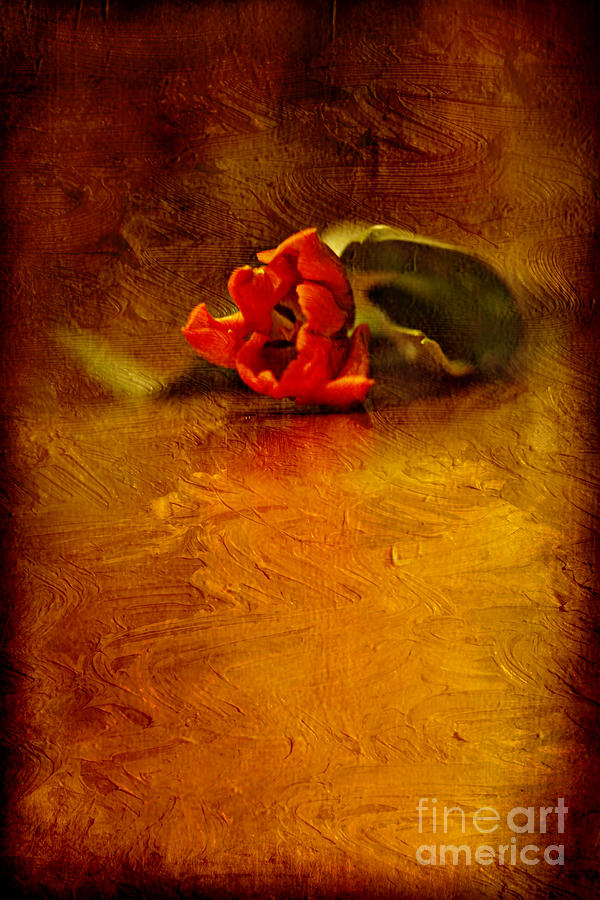 Tulip Digital Art - Lonely by Izabela Kaminska