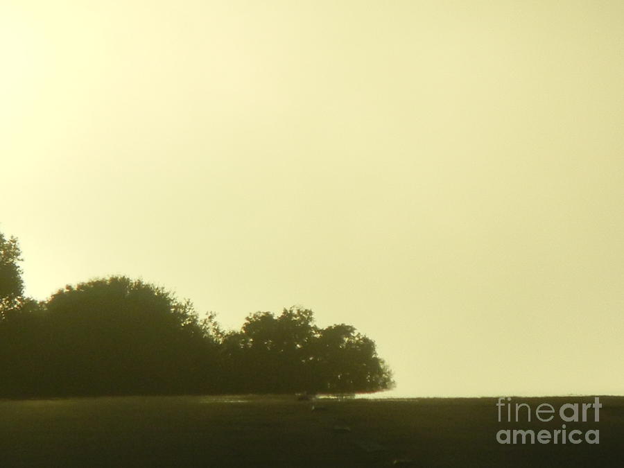 Lonely Landscape Photograph by Mini Arora