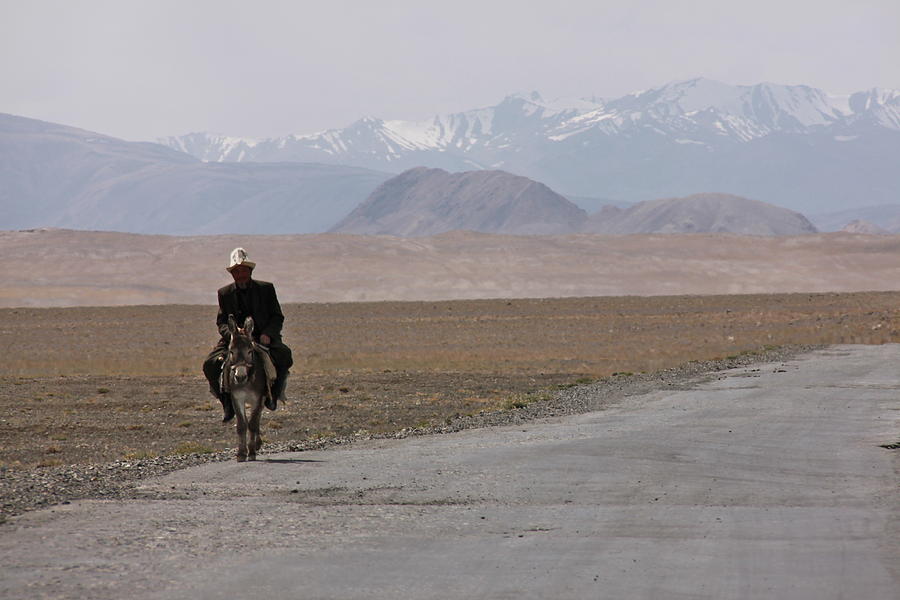 Lonely Man on Monkey Photograph by Arno Peng - Fine Art America