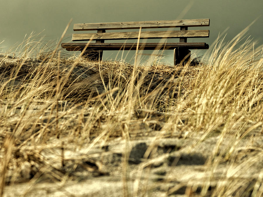 Lonely bench Photograph by Mike Santis
