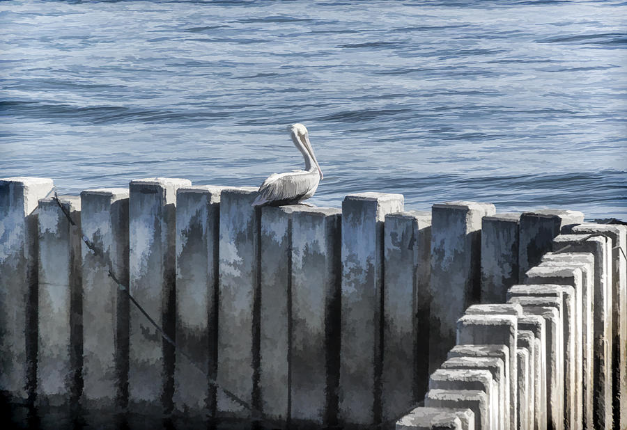Lonely Pelican Digital Art by Photographic Art by Russel Ray Photos