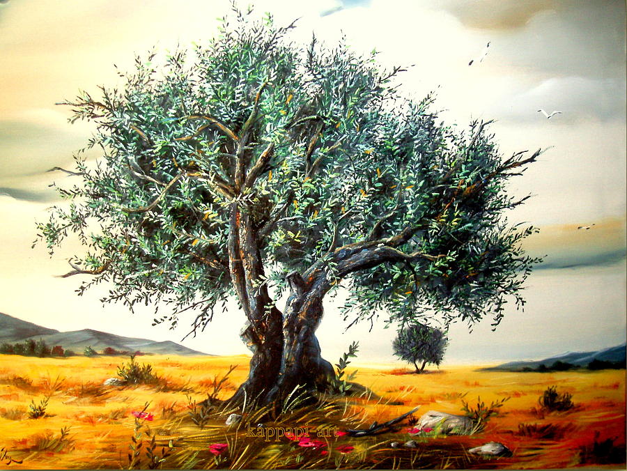 Дорама белое оливковое дерево с русской. Olive Tree Oil Painting. Olive Tree масло. Bellotti оливковое дерево. Оливковое дерево живопись.