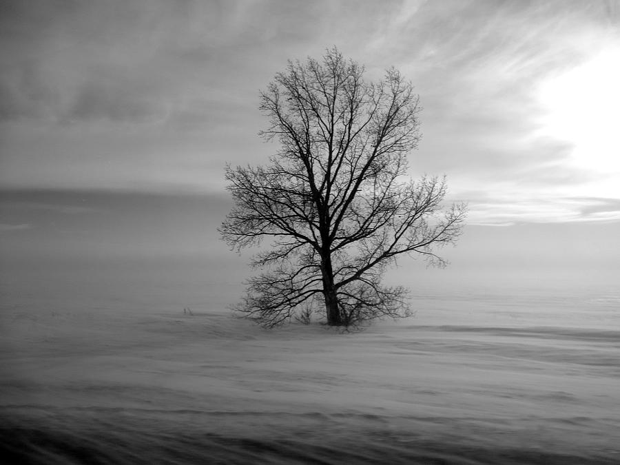 Lonely Praire Black and White Photograph by Stephanie Bland - Pixels