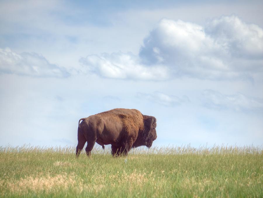 Lonely Prairie Photograph by HW Kateley