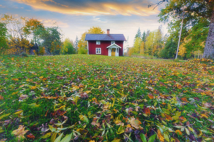 Lonely Red Cottage Surrounded By Autumn Leaves Photograph by Christian Lagereek