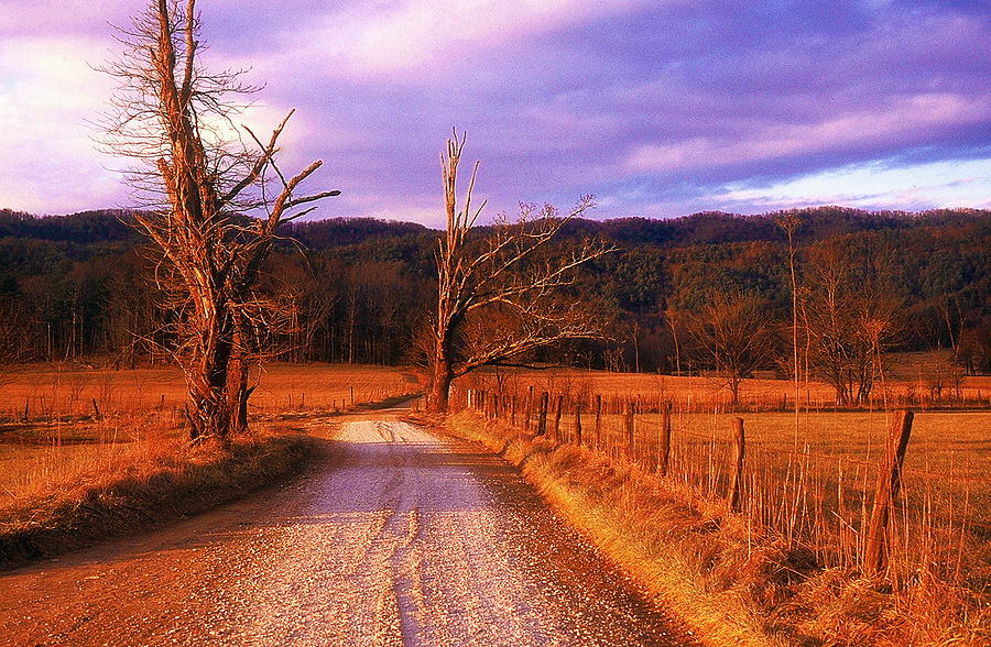 Lonely Road Photograph by Rodney Lee Williams