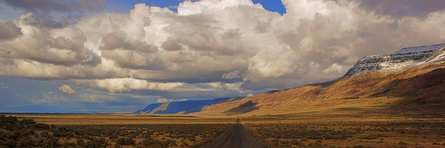 Lonely Road Through Warner Valley Photograph by Daniel Woodrum