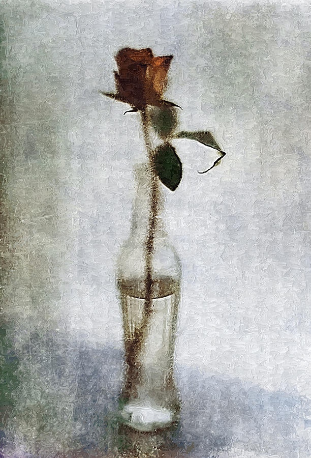 Lonely Rose Digital Art by Scott Mendell
