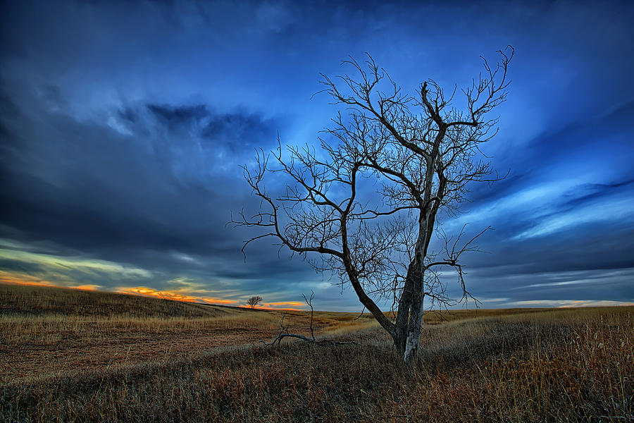 Lonely Sentinel Photograph by Thomas Zimmerman