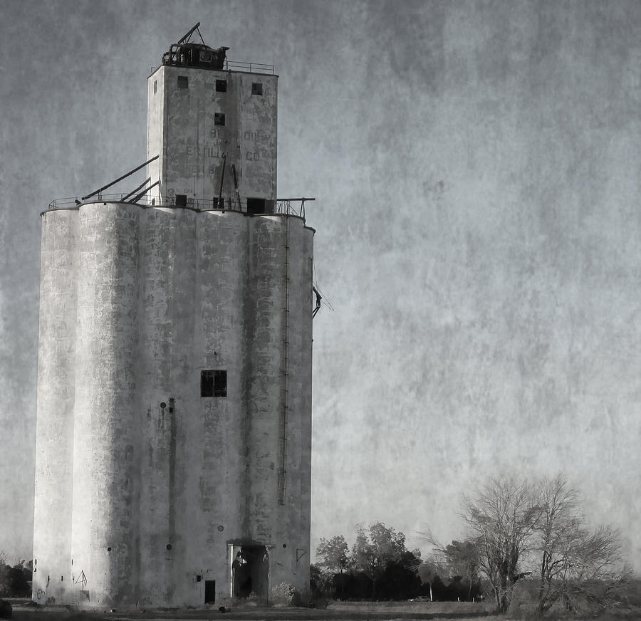 Lonely Silo Photograph by Vic Montgomery