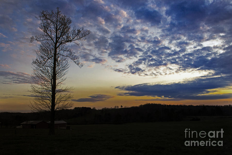 Sunset Photograph - Lonely Sunset by Michael Waters