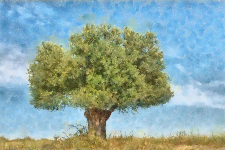 Lonely tree Digital Art by Roy Pedersen