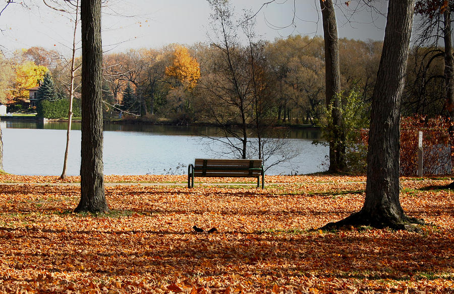 Lonely walk Photograph by Al Manseau - Fine Art America