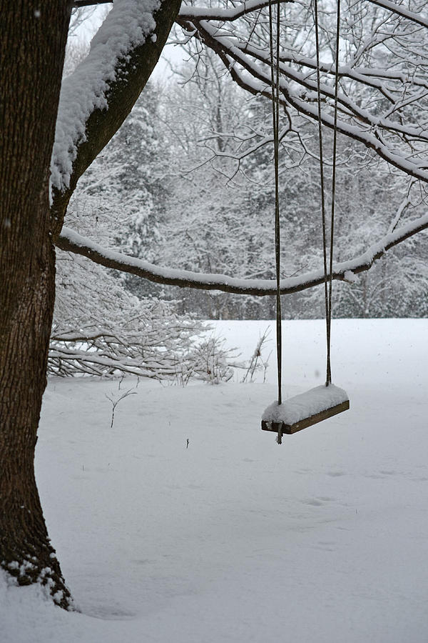 Lonely Winter Swing Photograph by Toby McGuire