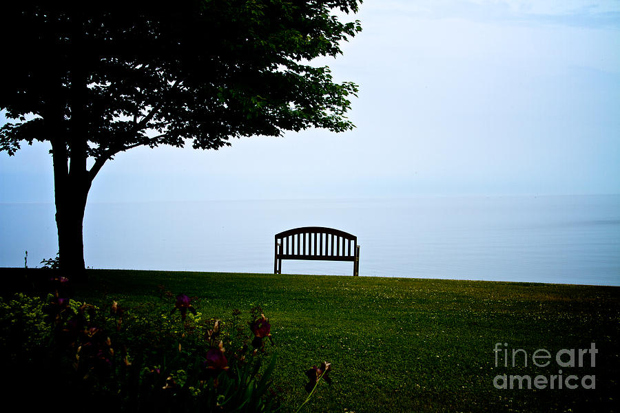 Lonesome Bench Photograph by William Norton