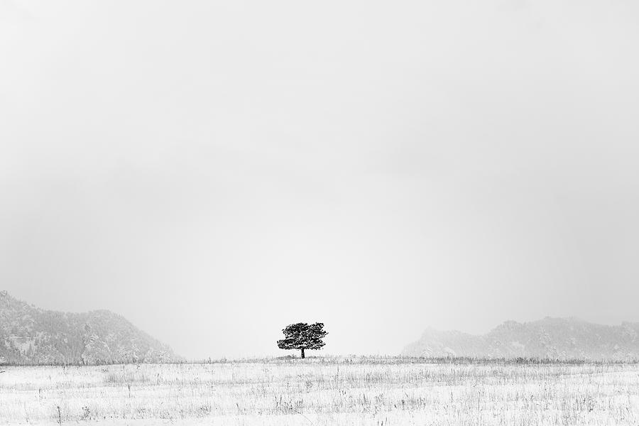 Lonesome Photograph by D Scott Clark