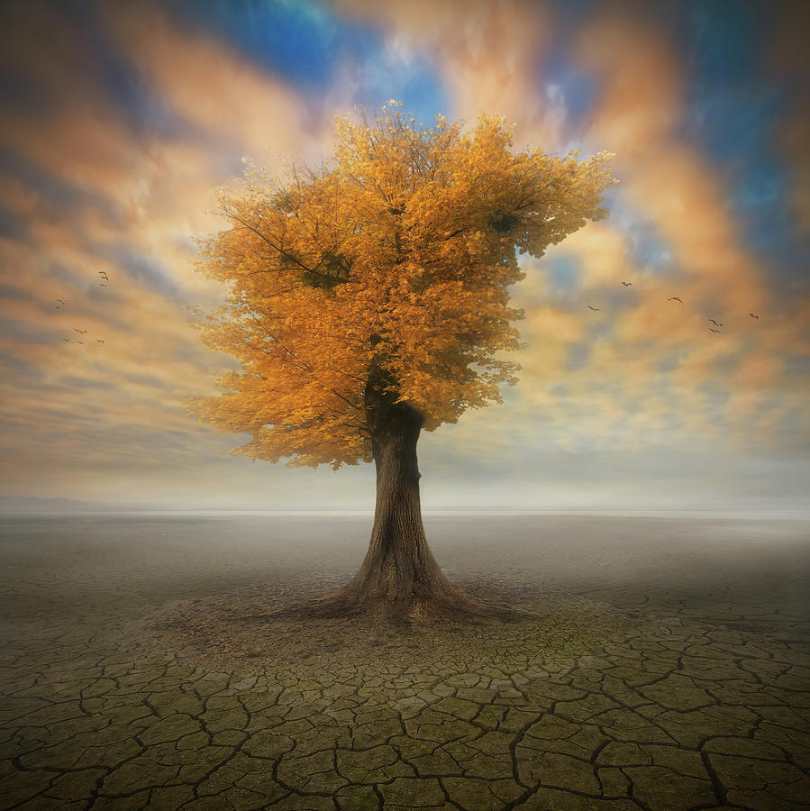Fall Photograph - Lonesome by Piotr Krol (bax)