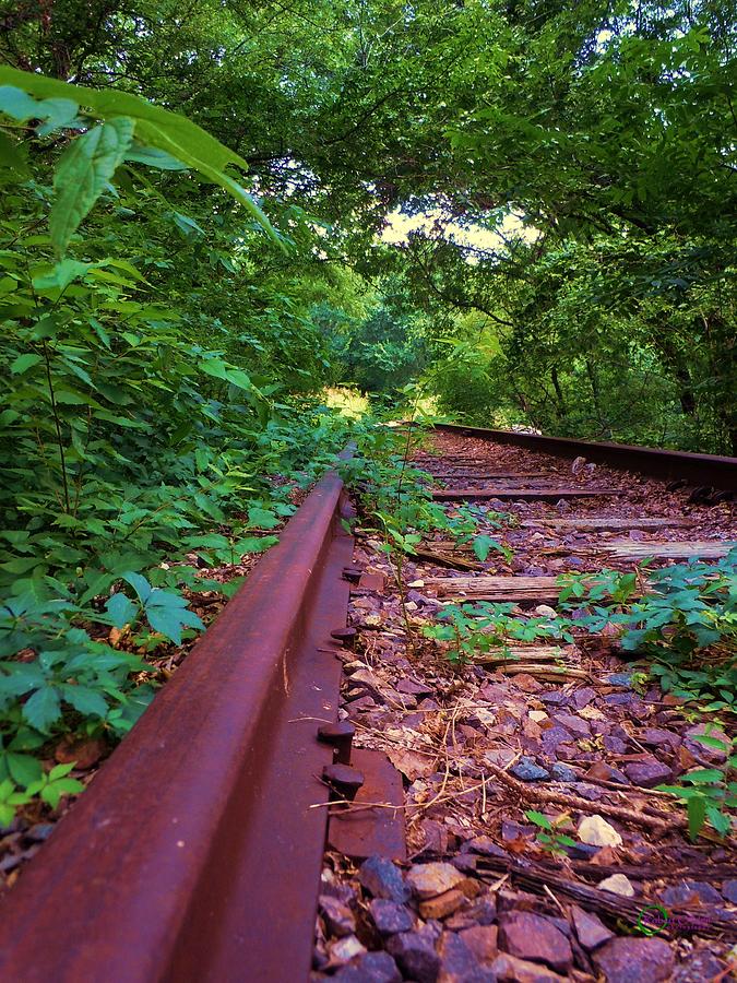 Lonesome Railroad #3 Photograph by Robert ONeil