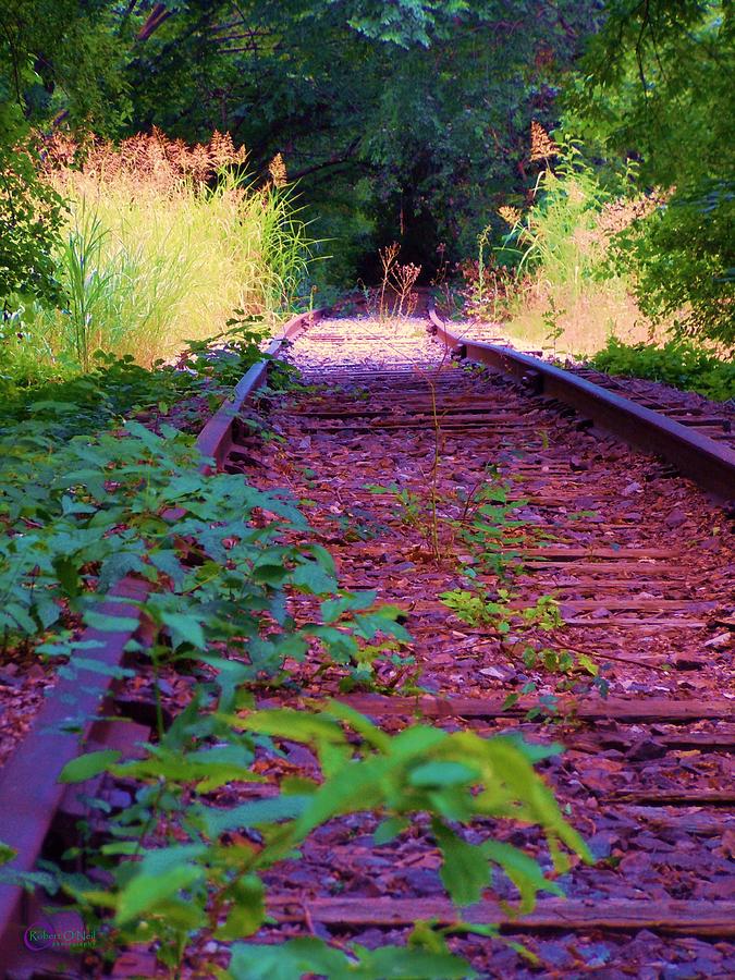 Lonesome Railroad #4 Photograph by Robert ONeil