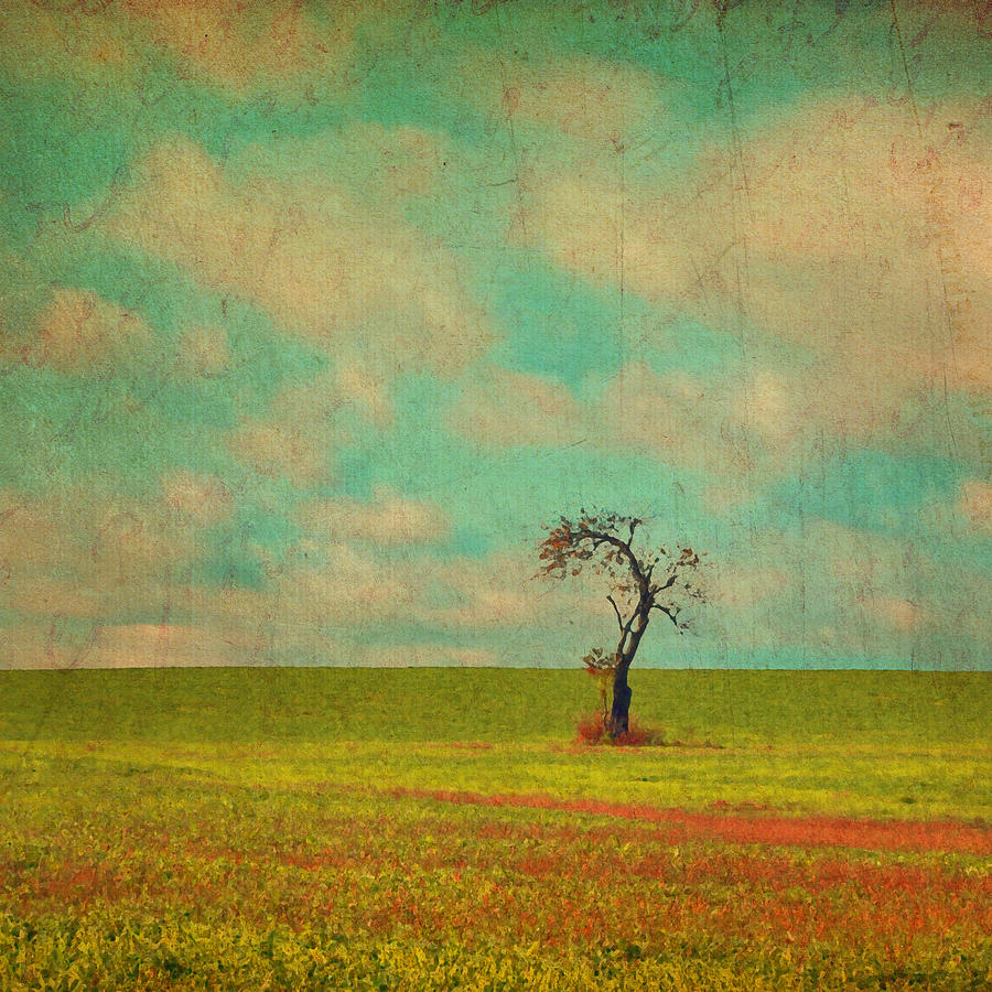 Vintage Photograph - Lonesome Tree in Lime and Orange Field and Aqua Sky by Brooke T Ryan