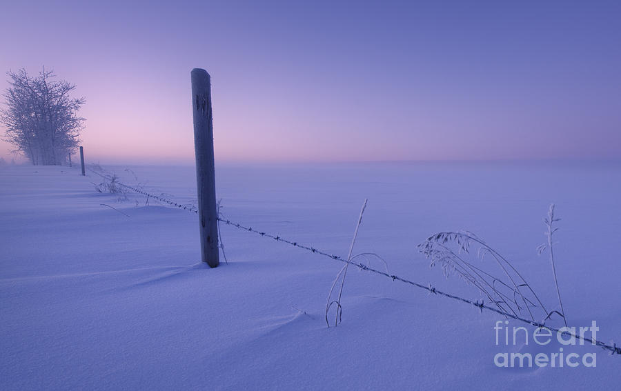 Lonesome Winter Photograph by Dan Jurak
