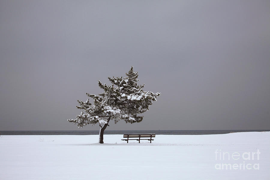 Winter Photograph - Lonesome Winter by Karol Livote
